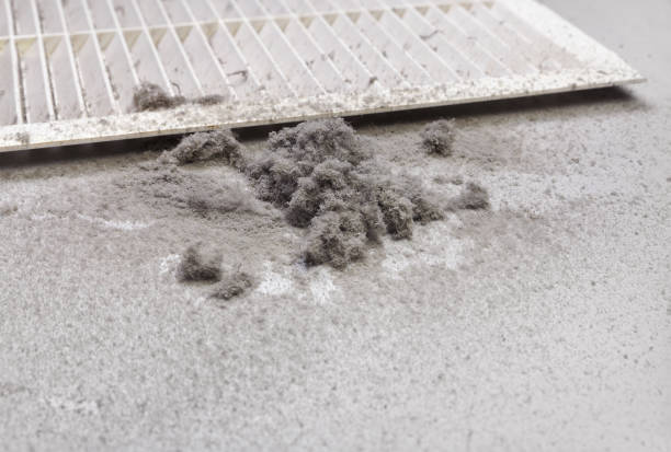 Best Affordable Duct Cleaning Services  in Premont, TX